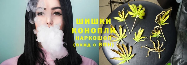 бошки Медногорск