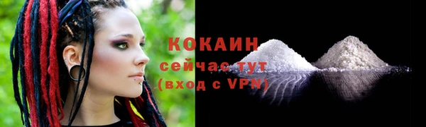бошки Медногорск