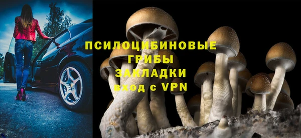 дурь Мегион
