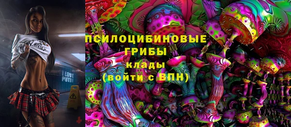 бошки Медногорск