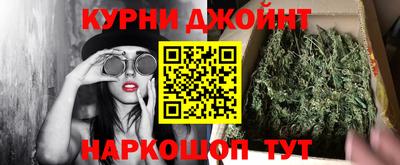 сатива Аргун