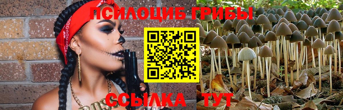 цена наркотик  Ижевск  Псилоцибиновые грибы ЛСД 