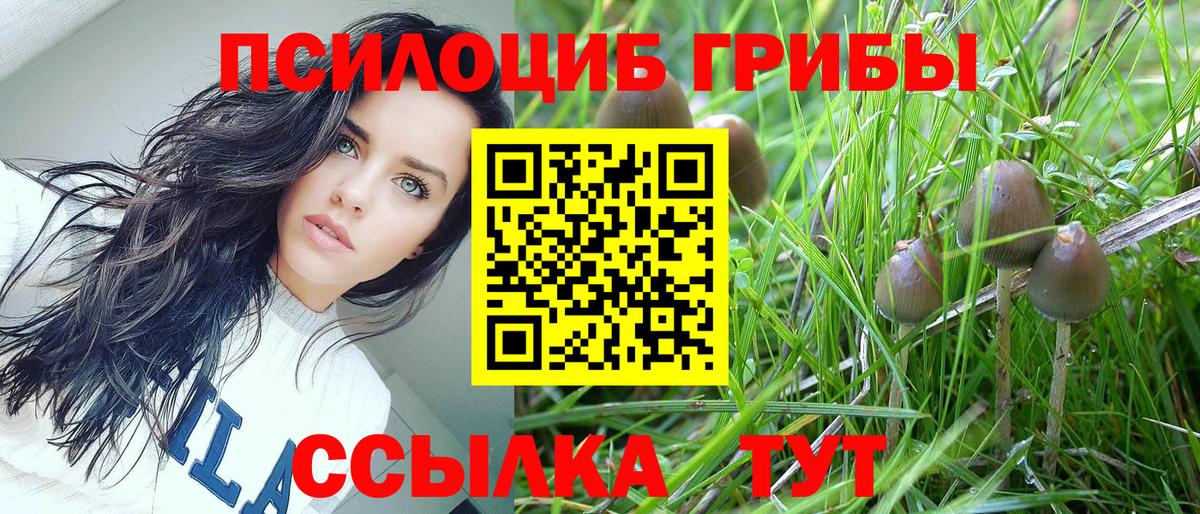 Ижевск  Псилоцибиновые грибы Psilocybe  Вход с VPN 